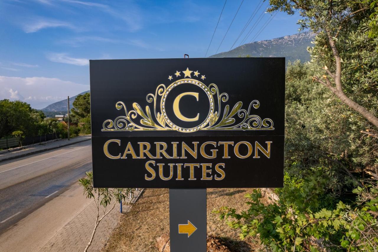 אולודניץ Carrington Suites מראה חיצוני תמונה